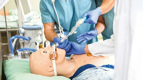 Simulation and Bespoke Training